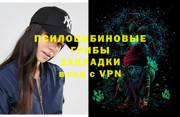 ПСИЛОЦИБИНОВЫЕ ГРИБЫ Баксан