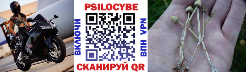 mega зеркало  Демидов  Псилоцибиновые грибы мухоморы  купить наркоту 